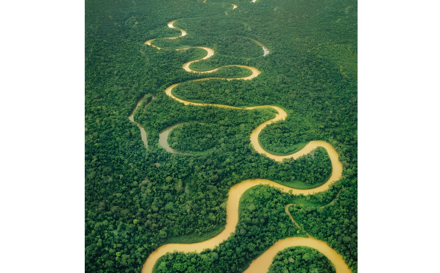 Wonders of Brazil & the Great Amazon