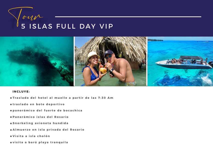 Full Day 5 Ada VIP (+ Opsiyonel Plancton) — 2