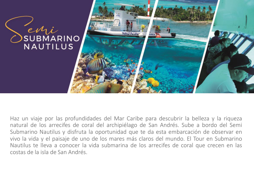 Full Day Caribbean VIP – Sun, Beach, Culture & Gastronomy