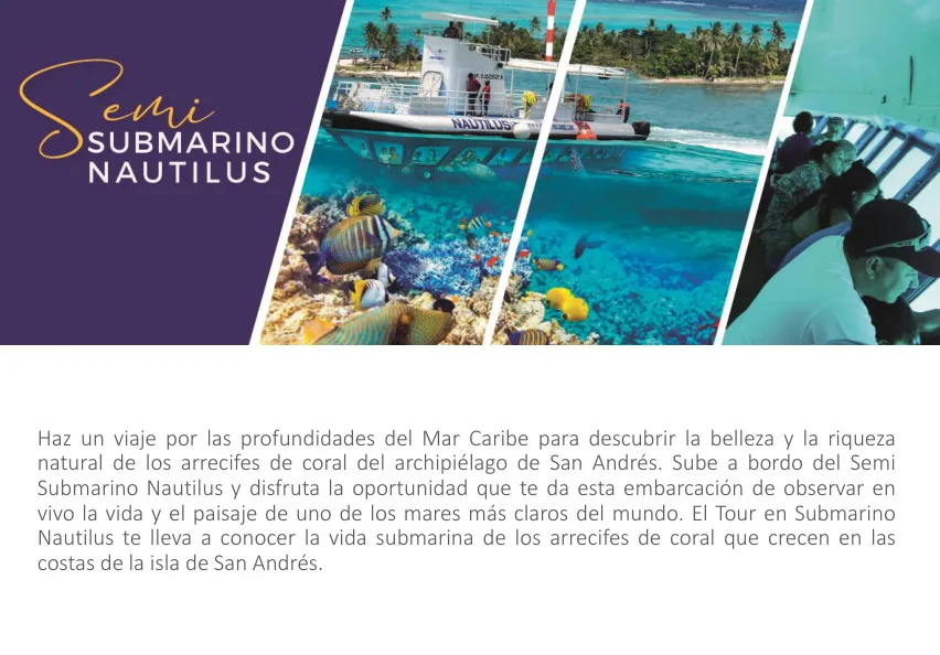 Full Day Caribbean VIP – Sun, Beach, Culture & Gastronomy