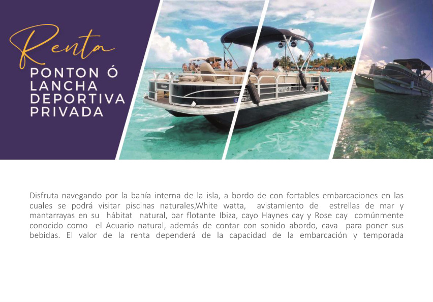 Shared Pontoon Bay Tour – Natural Pools & Manta Rays