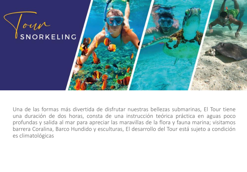 Snorkeling Tour – Coral Reef, Shipwreck & Sculptures